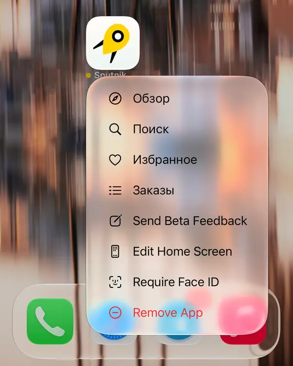 Меню иконки Sputnik на iOS с действиями Обзор, Поиск, Избранное и Заказы.